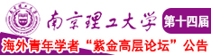 大鸡巴使劲插逼视频南京理工大学第十四届海外青年学者紫金论坛诚邀海内外英才！